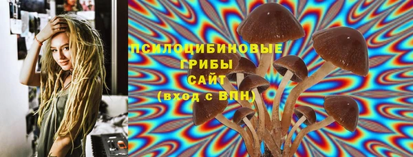 гашик Алзамай