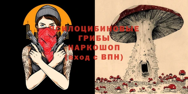 хмурый Алексеевка