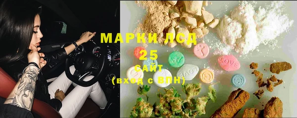 гашик Алзамай