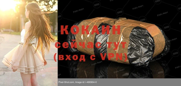 твердый Алексин